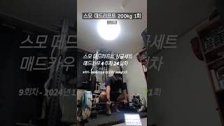 스모 데드리프트 싱글세트 20241112 화  200kg1회  매드카우9 4주차 24일차 [upl. by Bebe]