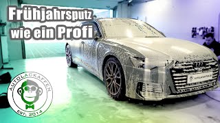 13 ProfiTipps für den Frühjahrsputz  AUTOLACKAFFEN [upl. by Julio512]