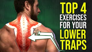 Top 4 Lower Trapezius Exercises for Better Shoulder Posture amp Function [upl. by Amyaj]