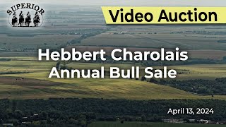 Hebbert Charolais Annual Bull Sale [upl. by Llenrag]