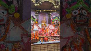 Last day of Damodar Month  ✨🌸 Damodarmonth song music love share [upl. by Yojal572]