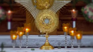 Perpetual Adoration Live  Eucharistic Adoration Live 247 [upl. by Rizika89]