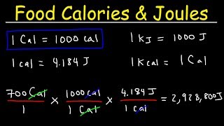 Joules Food Calories amp Kilojoules  Unit Conversion With Heat Energy  Physics Problems [upl. by Weirick987]