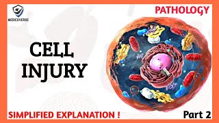 Cell Injury Pathology  Reversible and Irreversible Cell Injury  Part 2 [upl. by Sinai]