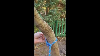 Master Essential Rope Knots for Everyday Life A Guide [upl. by Viviane648]