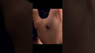 He gets bitten by a genetically modified spider 🕷️😨movie series fyp [upl. by Neersan]