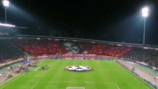 Koreografija Delije Crvena Zvezda  Bayern München 26112019 [upl. by Murtha]