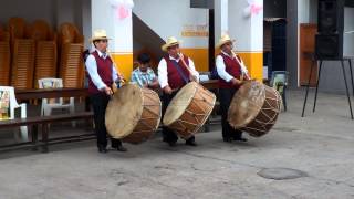 Roncadoras de Tauca y Corongo Junio 16 2013 TroncoPallita [upl. by Brant]