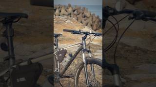 Specialized Rockhopper 29er [upl. by Tomi]