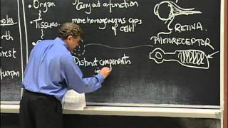 Types of Organisms Cell Composition excerpt 1  MIT 701SC Fundamentals of Biology [upl. by Neztnaj]