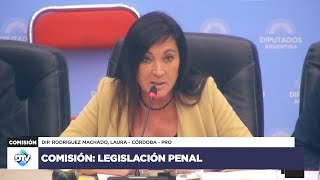 COMISIÓN COMPLETA LEGISLACIÓN PENAL  8 de mayo de 2024  Diputados Argentina [upl. by Disraeli]