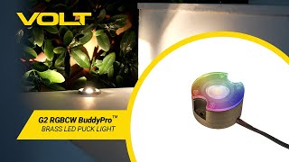 VOLT® G2 RGBCW BuddyPro™ Brass LED Puck Light  Whats in the Box [upl. by Alvera]