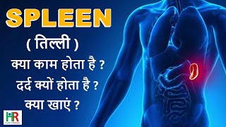 spleen information in hindi तिल्ली में दर्द क्यों होता है तिल्ली में दर्द के लिए क्या खाएं [upl. by Galasyn]