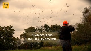 Gänsejagd im Traumrevier Aurich [upl. by Swirsky]