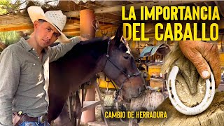 El cuidado del CABALLO el animal más importante del VAQUERO  La Voz del Vaquero 2 [upl. by Garceau]