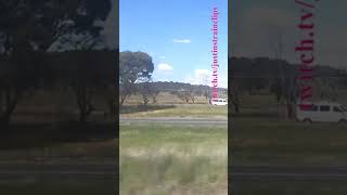 VLINE Albury NSW To Southern Cross 101024 vline shorts shortvideo train travel views [upl. by Yoshiko]