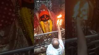 🙌New Kalighat Aarti🌺🙏🏻shorts kalighat kalimaa taramaa viralvideo 🙏🏻 [upl. by Oleg321]