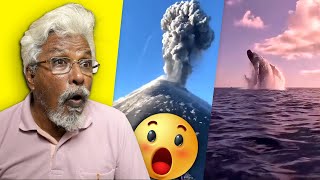 Dad reacts to Unbelievable Moments 🤯 [upl. by Noet581]