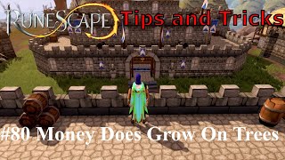 Money does grow on trees  RuneScape Tips and Tricks 80 [upl. by Outlaw]