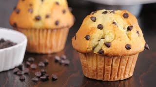 Chocolate Chip Muffins  Bakery Style Muffins  How Tasty Channel [upl. by Rose]