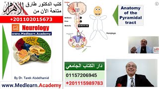 Localization of Neurological Lesions Part 1 [upl. by Teryl307]