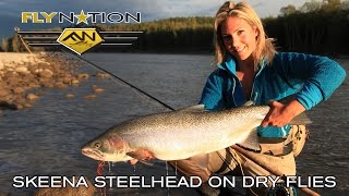 Fly Nation Skeena Steelhead on Dry Flies [upl. by Ylsel]