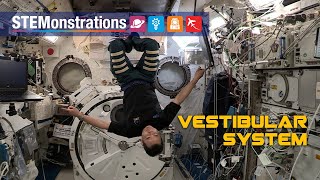 STEMonstrations Vestibular System [upl. by Maghutte]