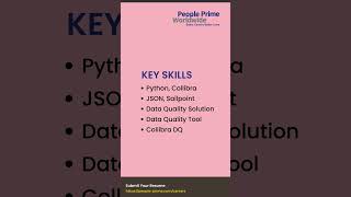 IT Jobs Openings in 2024 SailPoint Developer  People Prime Jobs [upl. by Herwig731]