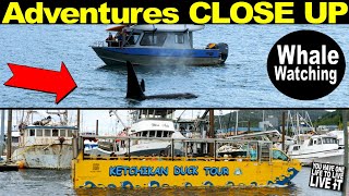 SHIP LIFE Whale Watching amp Wildlife Quest  Land amp Sea Ketchikan Duck Tour [upl. by Enna279]