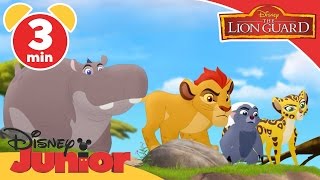 The Lion Guard  Paintings and Predictions  Disney Junior UK [upl. by Eliathas]