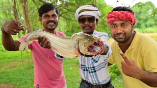 Boyal fish recipe  বাপির হাতের বোয়াল মাছ রান্না যেন মাংসের স্বাদ কেউ হার মানায়  Village food [upl. by Asiram]