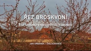 Řez broskvoní  řez stromů s kotlovitou korunou 2 díl [upl. by Lateh]