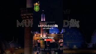 11 Vi Sharif Naat Status  Ghous e Aazam naatstatus 11vishareef 2024 shorts video [upl. by Valencia]