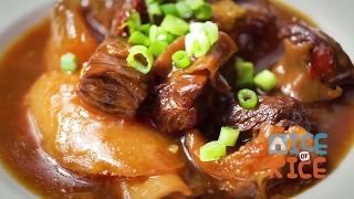 Instant Pot Beef Brisket Stew with Daikon [upl. by Jordison]