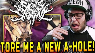 I LOVE DEATHCORE Signs of the Swarm  Death Whistle REACTION [upl. by Robaina946]