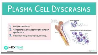 Plasma Cell DisordersDyscrasias  Multiple Myeloma Pathology Review [upl. by Metzgar]