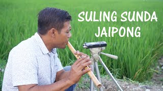 SULING SUNDA DI SAWAH Koplo Jaipong  Seruling sunda paling merdu [upl. by Mulderig]