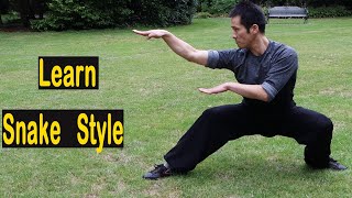 Kung Fu Wushu Snake Style  Snake Form 蛇拳 [upl. by Ardnoel]