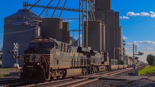 NS 8076 East in Milmine IL on 6924 [upl. by Marquez]