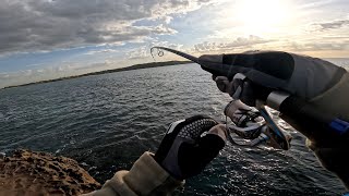 Big Fish Equals Screaming Reel  Sydney Rockfishing [upl. by Aniger]