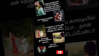 velli nilave song lyrics tamilsong songlyrics love trending shortsviral [upl. by Adnawuj34]