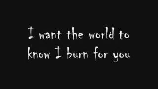 Burn for you Tobymac lyrics [upl. by Atokad]