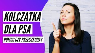 KOLCZATKA DLA PSA  pomoc czy przeszkoda [upl. by Yelad964]