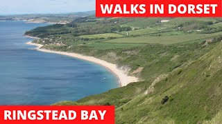 WALKS IN DORSET at RINGSTEAD BAY JURASSIC COAST 4K [upl. by Eirod224]