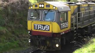 TasRail train 131 TR09TR0520062053 at Bengeo 29092024 [upl. by Gaillard]