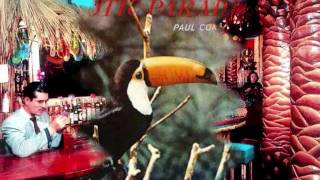 Paul Conrad  Deep Night [upl. by Annayak693]