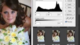 Histograms  Histogram  Digital Photography  Camera [upl. by Calysta]