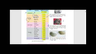 cours 2 ème sciences avec exercices Stratigraphies [upl. by Lladnek]