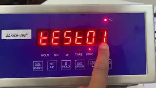 SCALETEC DIGITAL INDICATOR  Procedure to Test Digital Load Cell Count [upl. by Yelyah]