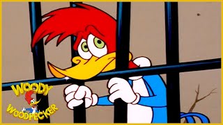 Woody Woodpecker Show  1 Hour Compilation  Cartoons For Children [upl. by Frankhouse641]